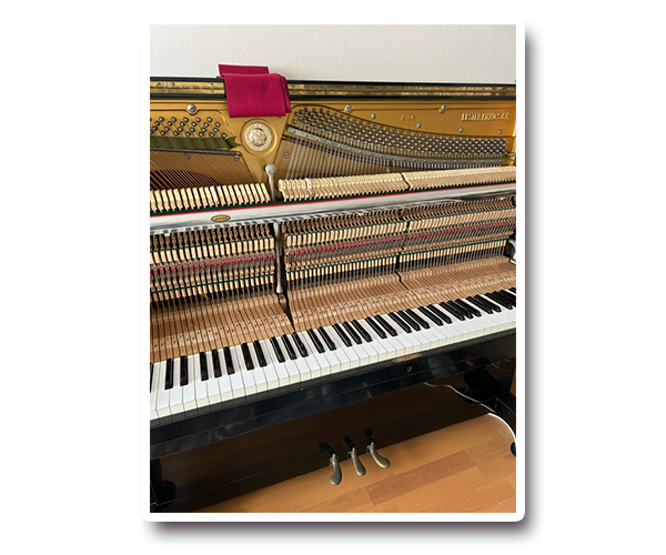 静岡県浜松市在住のオーナー様より