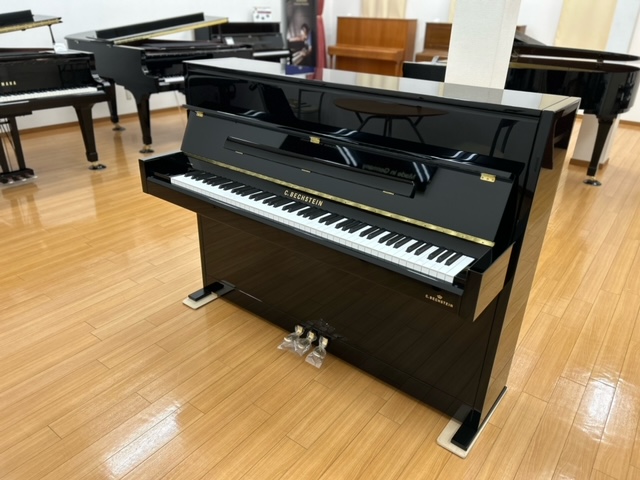 BECHSTEIN A.2