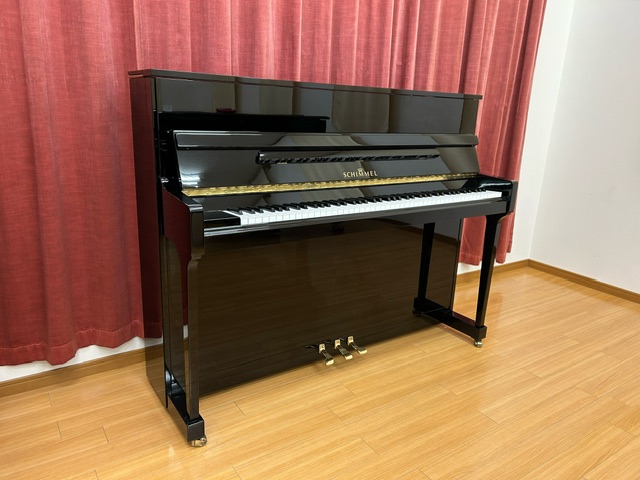 SCHIMMEL 10T